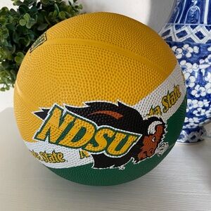 NDSU North Dakota State University Baden Bison Basketball Green and Gold Logo